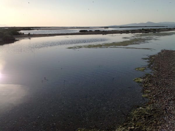 The Lost Wetlands of Turkey