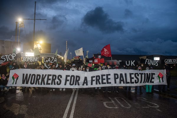 Reflections from the Present on the Future of Political Action for Palestine