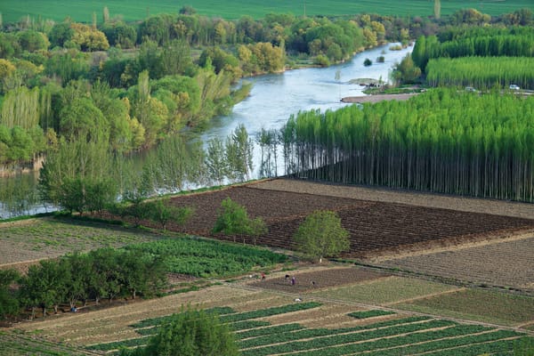 Kurdish Decolonial Ecologies