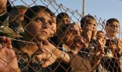 How One Palestinian University is Remaking ‘Israel Studies’