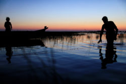 Water in the Middle East: A Primer