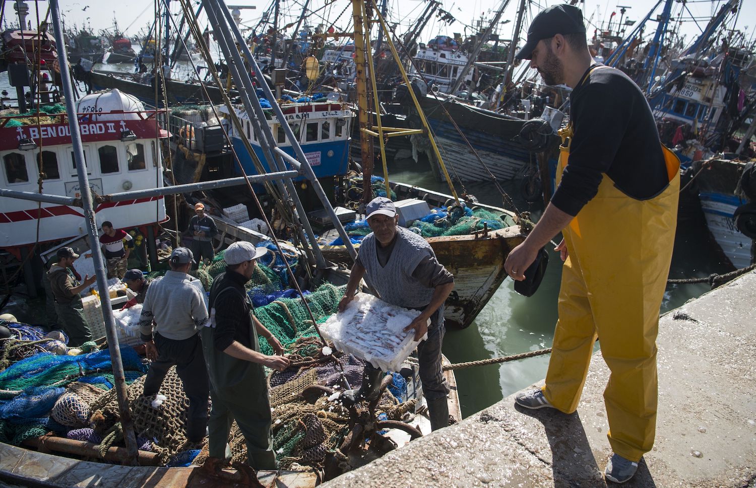 How the Fishing Industry Strengthened Morocco's Occupation of
