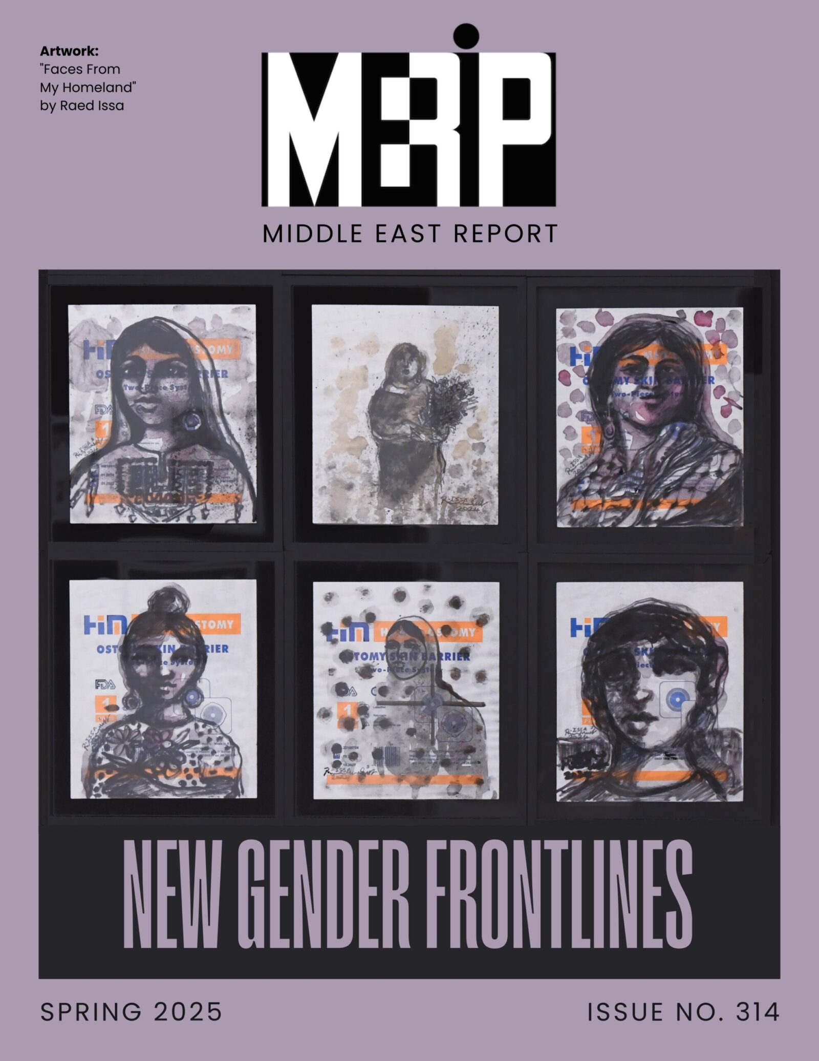 The cover of Middle East Report Issue 313, Resistance -- The Axis and Beyond.